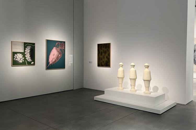 Sections and Exhibits